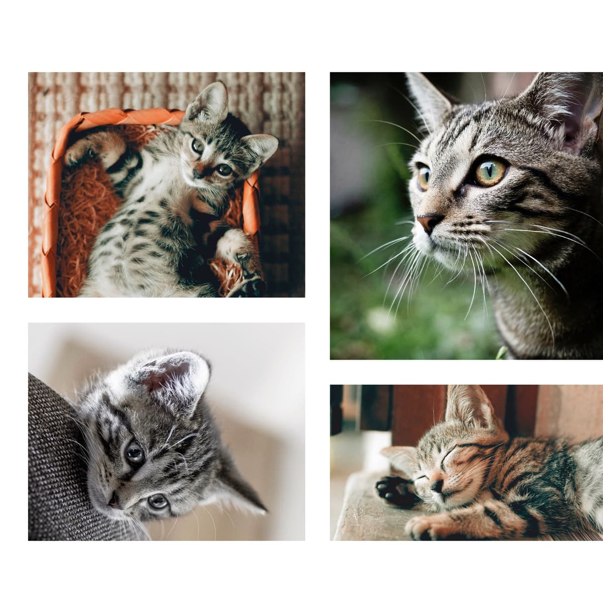 3D рендер 14